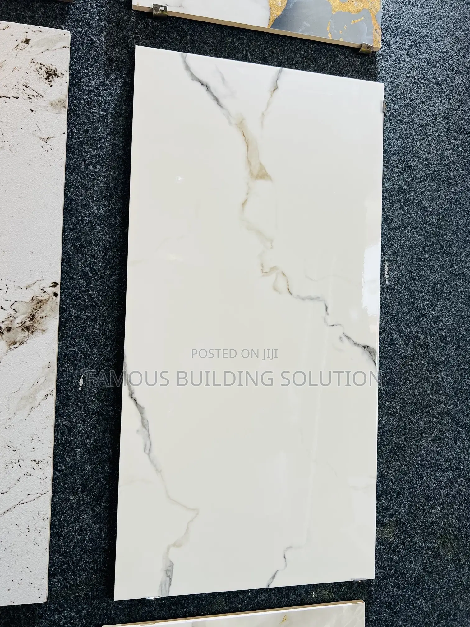 Polished Wall Tiles (30/60)