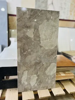 Polished Wall Tiles (30/60)