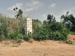 4 Plots ( 1 Acre Land) for Sale at Sewua.