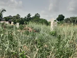 4 Plots ( 1 Acre Land) for Sale at Sewua.