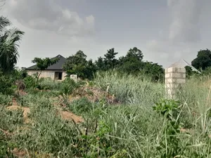 4 Plots ( 1 Acre Land) for Sale at Sewua.