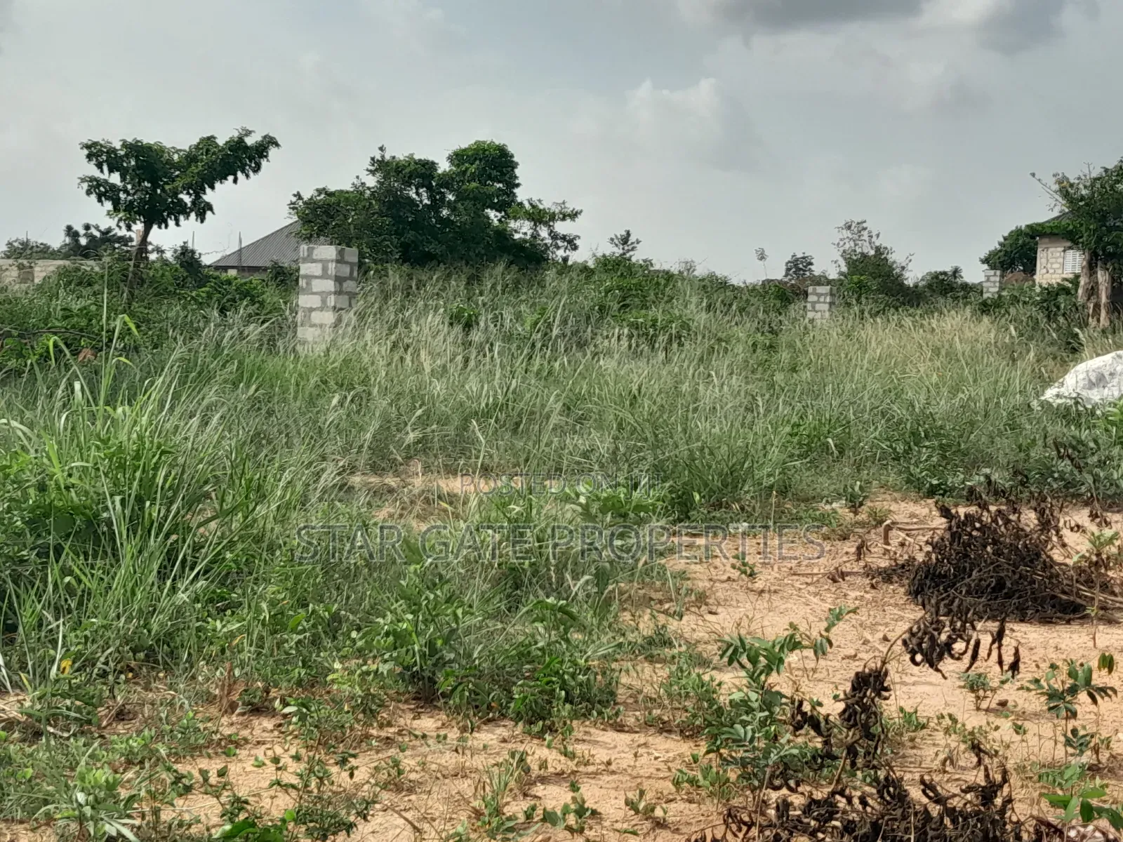 4 Plots ( 1 Acre Land) for Sale at Sewua.