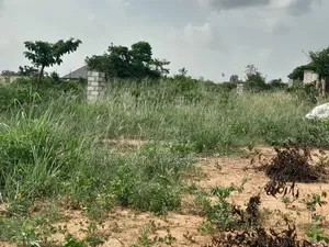 4 Plots ( 1 Acre Land) for Sale at Sewua.