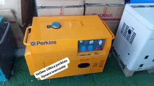 Delight Journey Perkins 10kva 13000watt Generator 10kva