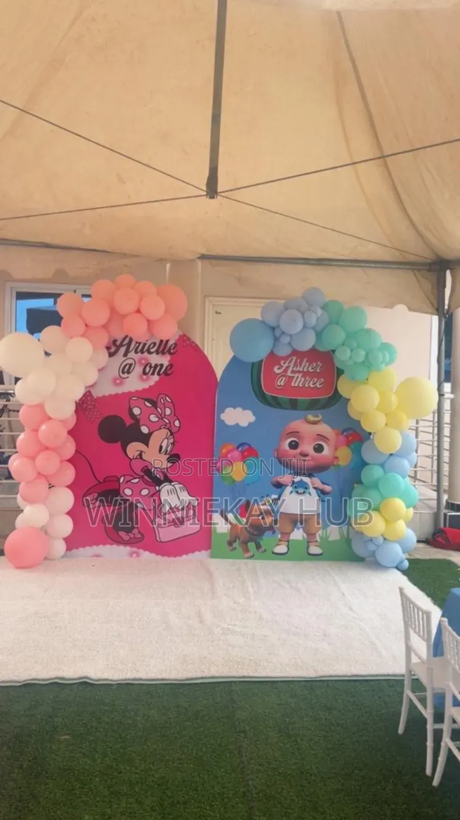 Birthday Party Decorations