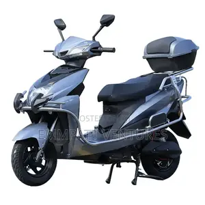 New Bourget Fat Daddy 2025 Green