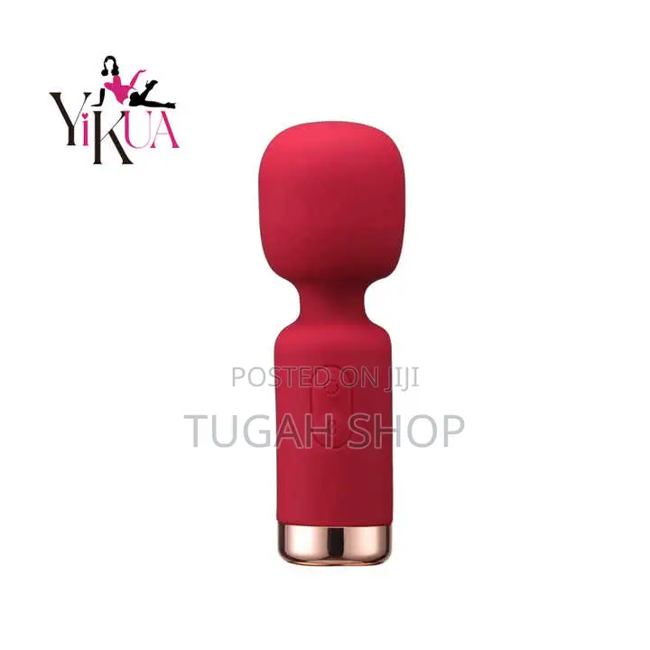Multi Speed Rechargable Mini Wand/Bullet Vibrator
