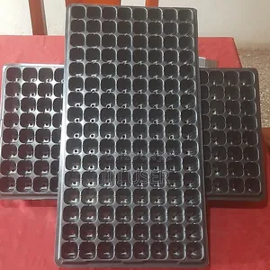 Plastic Seed Trays