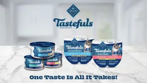 Blue Buffalo Tastefulsccat Food Paté, Chicken Turkey 12ct.