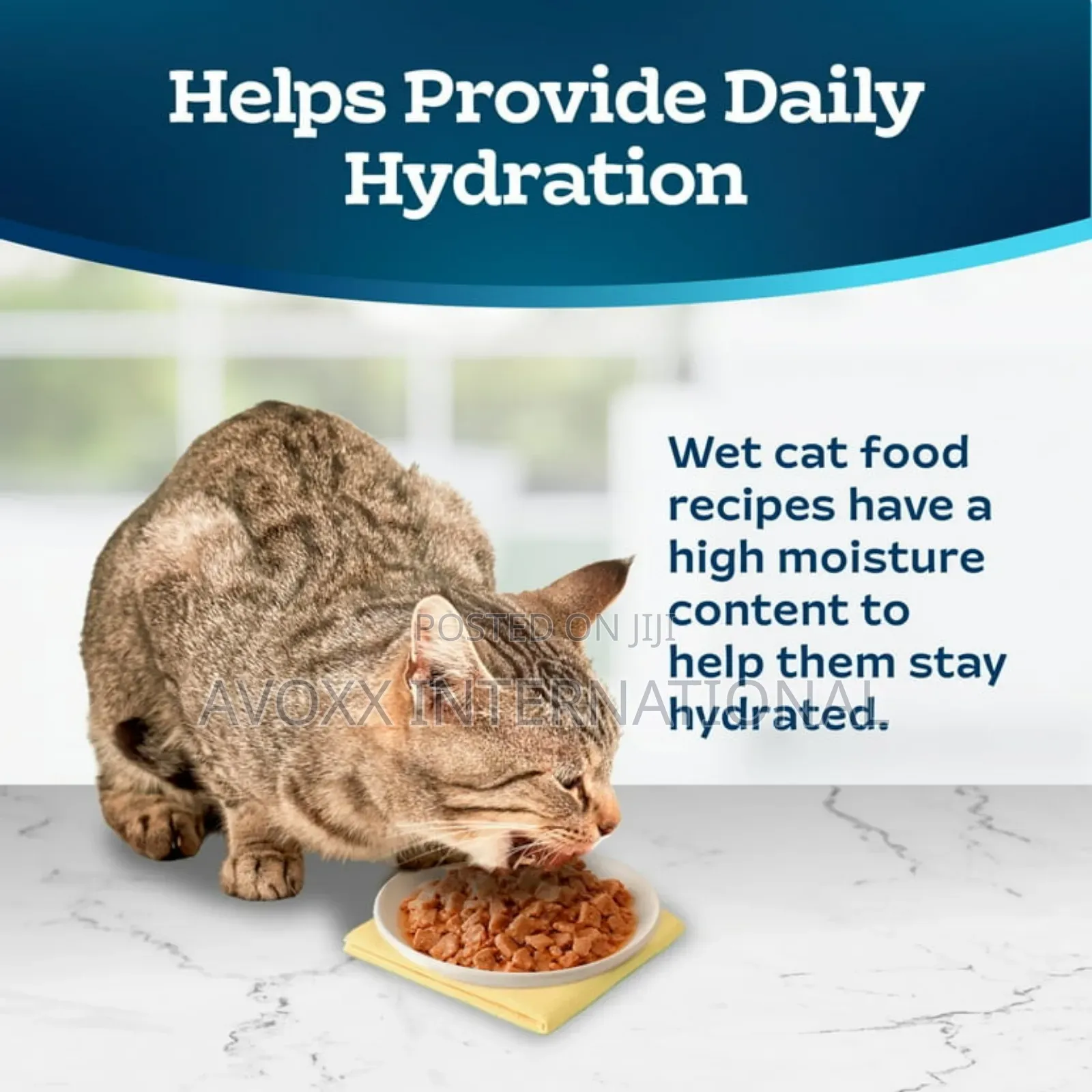 Blue Buffalo Tastefulsccat Food Paté, Chicken Turkey 12ct.