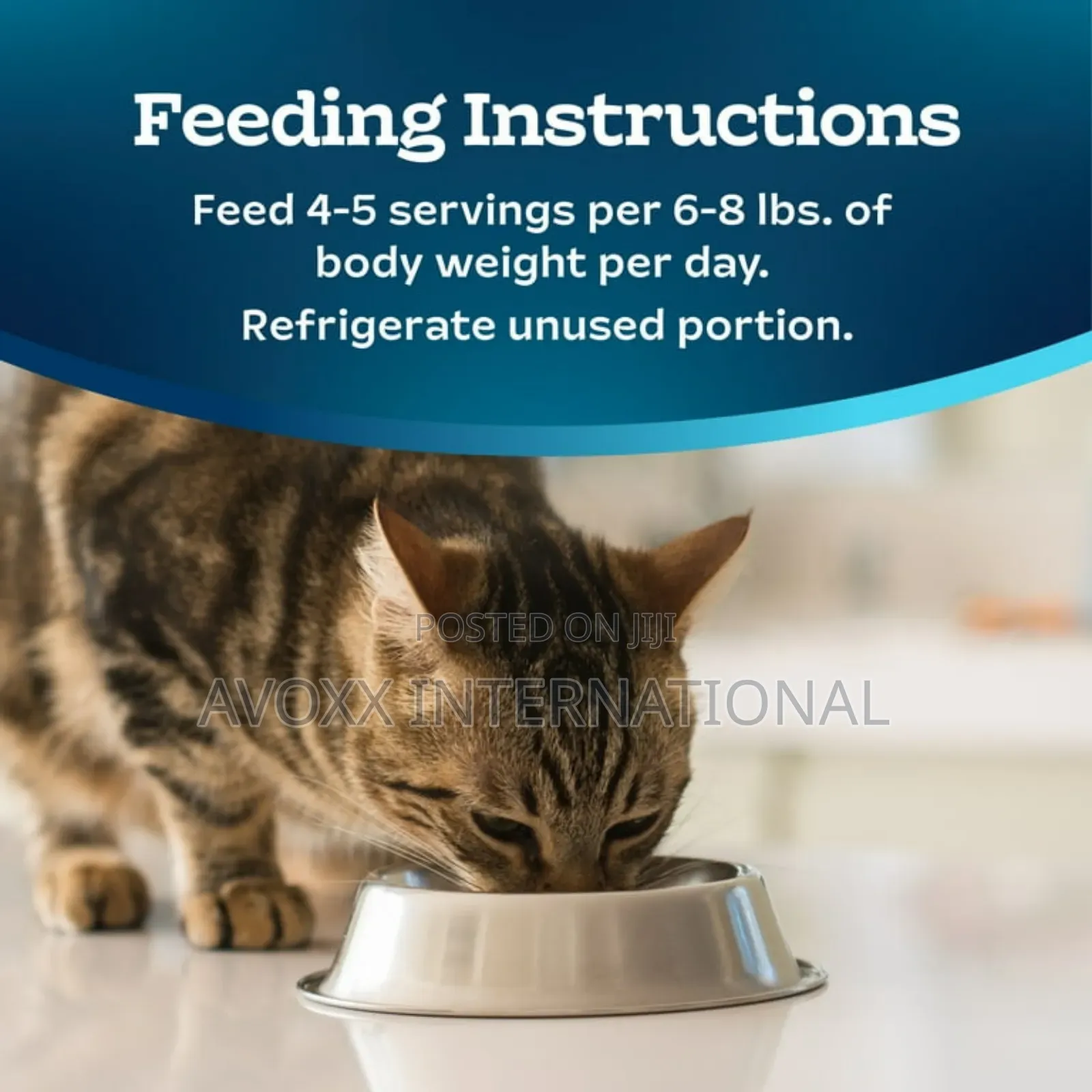 Blue Buffalo Tastefulsccat Food Paté, Chicken Turkey 12ct.