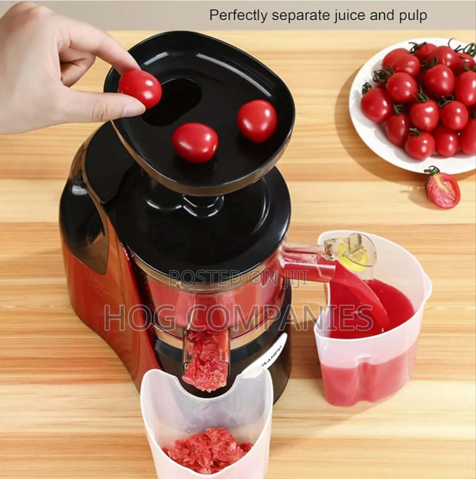Slow Juicer