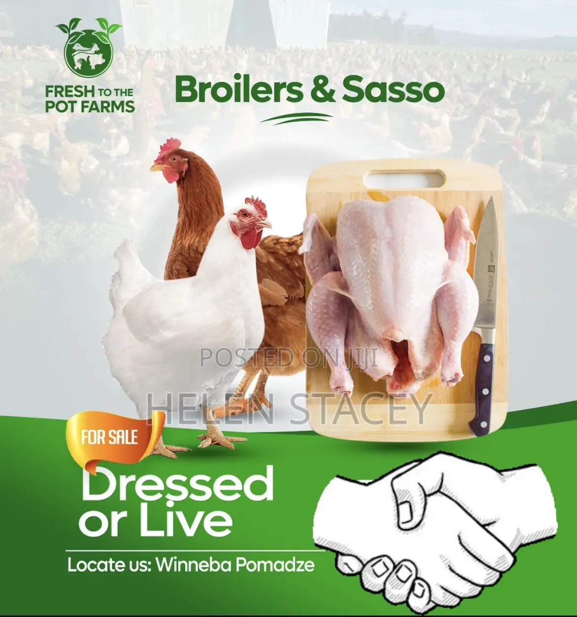 Live and Dressed Chicken