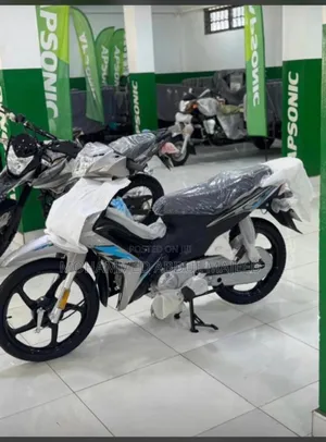 New Apsonic AP110 2025 Silver