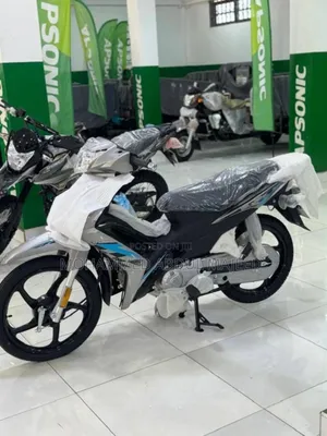 New Apsonic AP110 2025 Silver