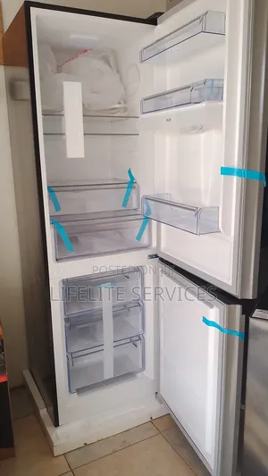 Mirror- Door Refrigerator (Pearl 309 Litres)