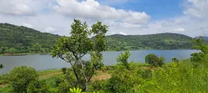 Volta Region, (Woadze) _ 4.26 Acres Riverfront Land