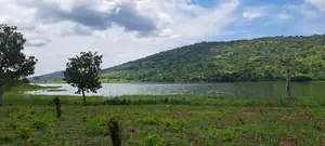 Volta Region, (Woadze) _ 4.26 Acres Riverfront Land