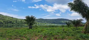 Volta Region, (Woadze) _ 4.26 Acres Riverfront Land