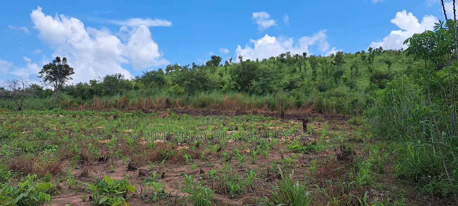 Volta Region, (Woadze) _ 4.26 Acres Riverfront Land