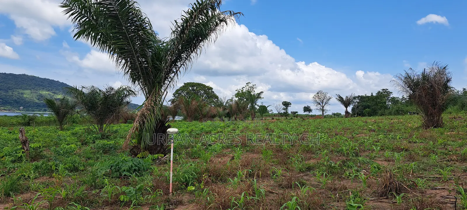 Volta Region, (Woadze) _ 4.26 Acres Riverfront Land