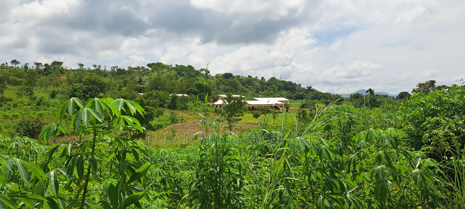 Volta Region, (Woadze) _ 4.26 Acres Riverfront Land