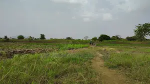 Volta Region - (Have) _ 6 Acres Volta Riverfront Land