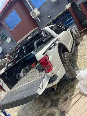 Ford F150 Back Bucket Carrier