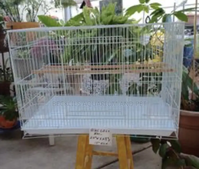 2 in 1 Heavy Spacious Bird Cages for Parrot