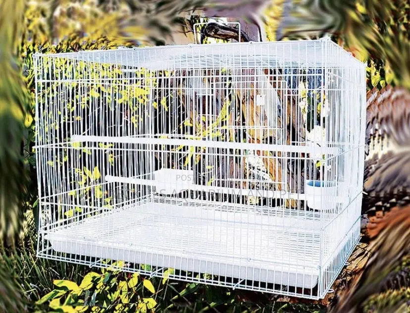 2 in 1 Heavy Spacious Bird Cages for Parrot