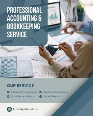 Professional Accountants