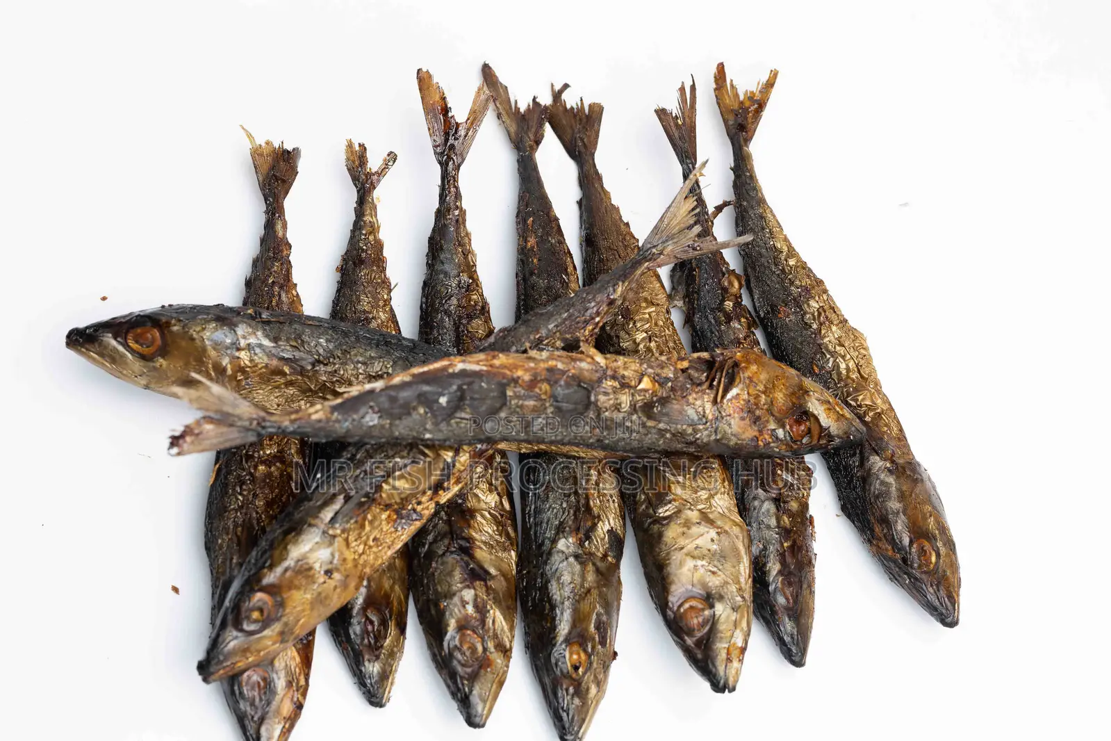 Smoke Mackerel Fish/ Otwe