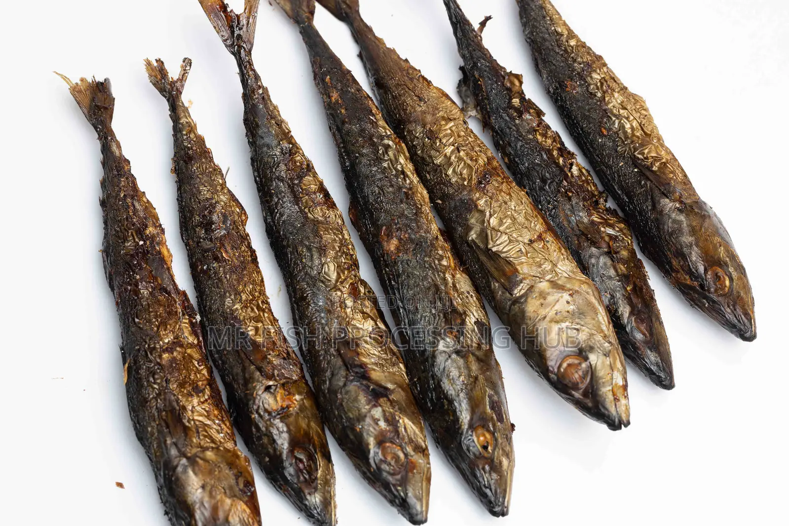 Smoke Mackerel Fish/ Otwe
