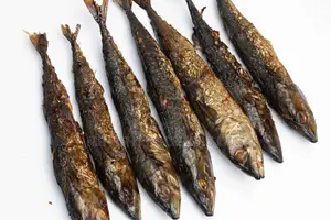 Smoke Mackerel Fish/ Otwe