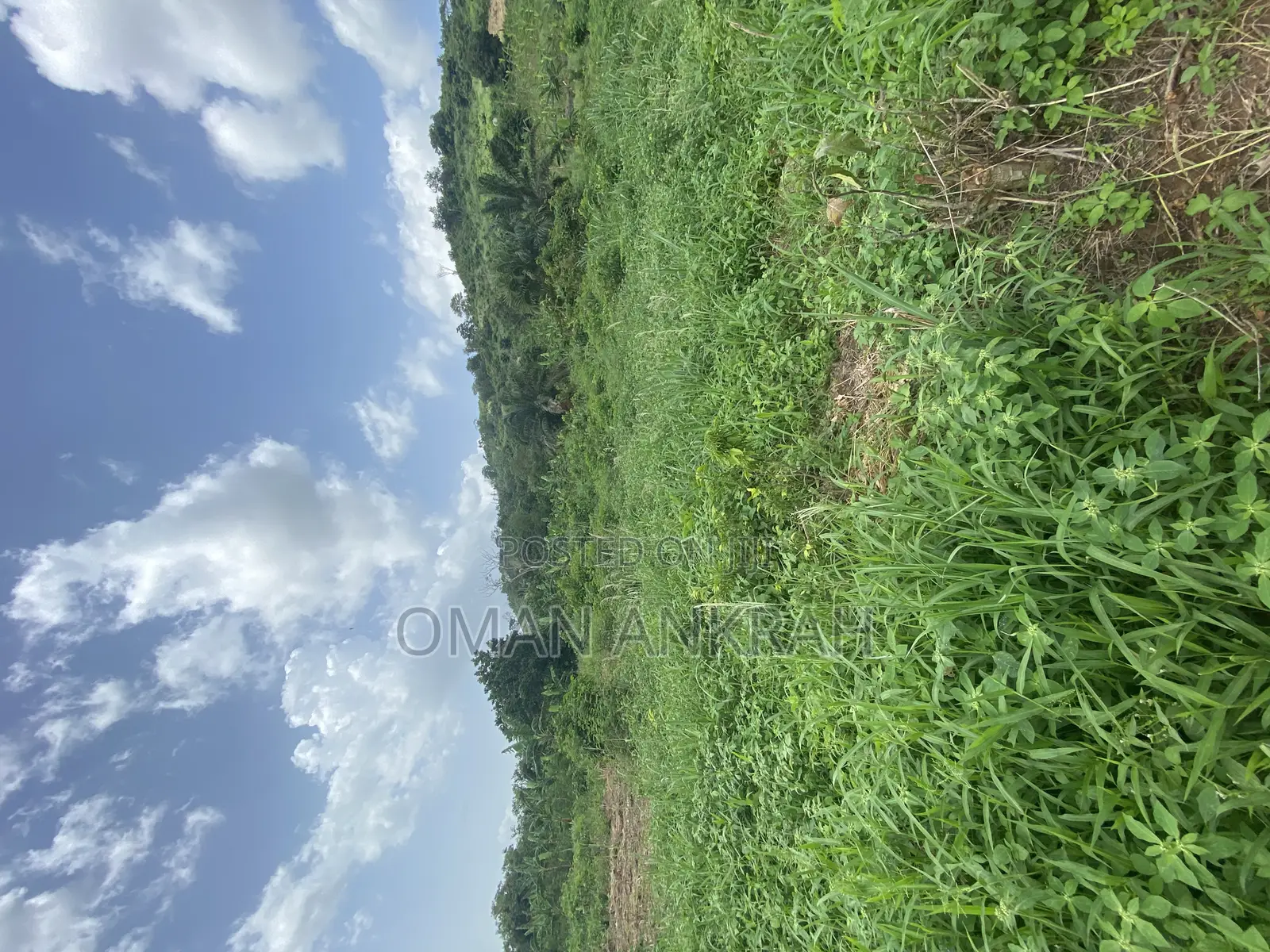 1plot of Land Mountain Top