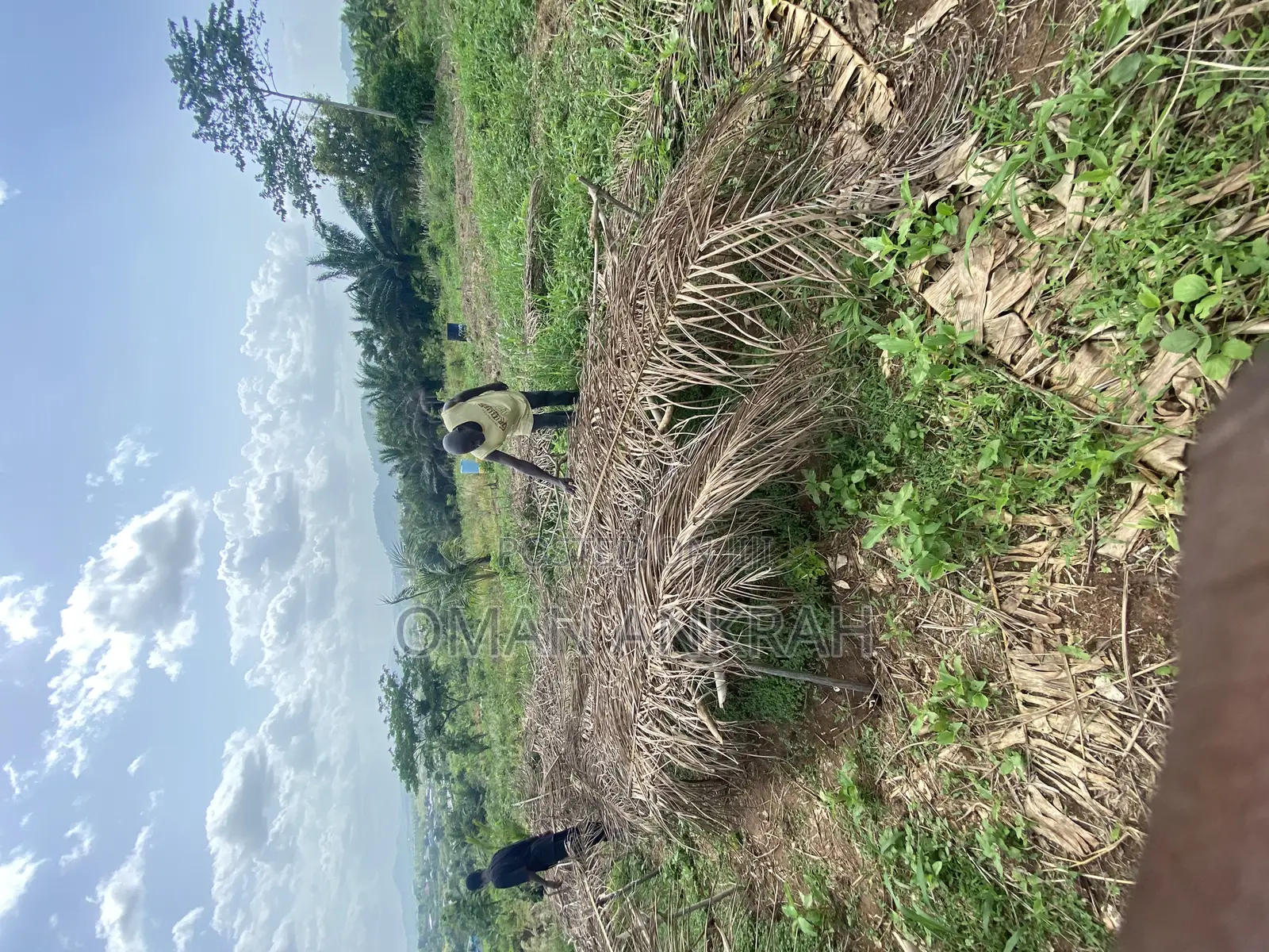 1plot of Land Mountain Top