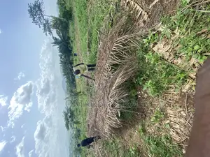 1plot of Land Mountain Top