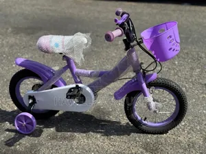 Popular Purple Bike