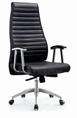 Comfortable Manager Chair
