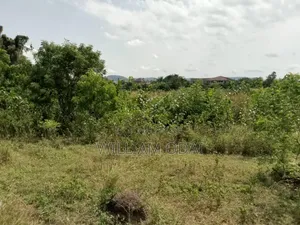 Acres Farm Lands for Sale Krabo Coaltar