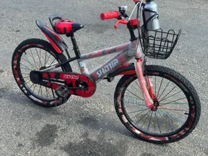 Toddler Kids Bike