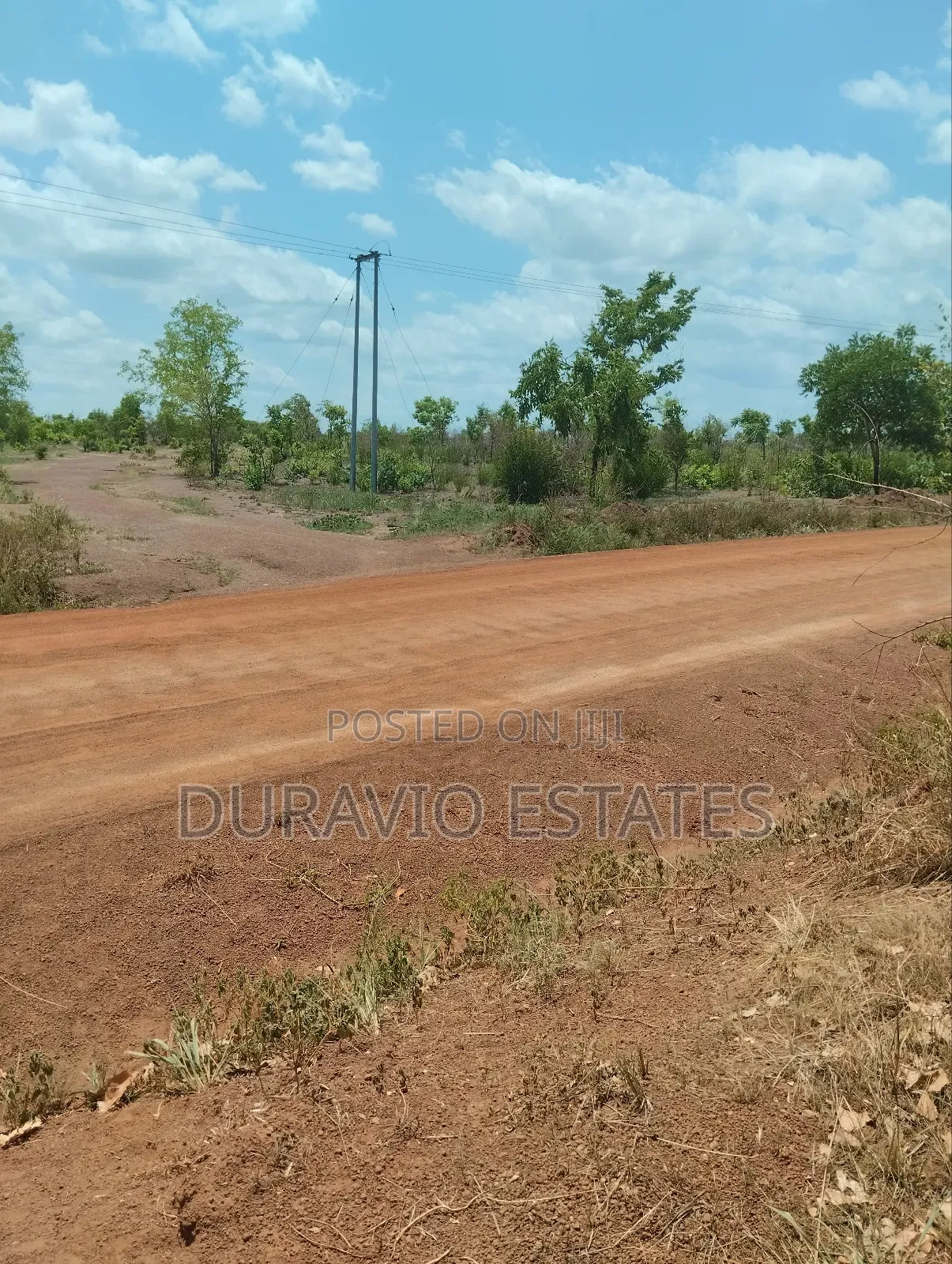 Affordable Farm Land in Nsuta