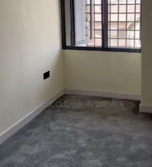 Professional Washroom Cleaning Services