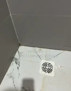 Professional Washroom Cleaning Services
