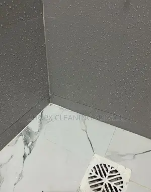 Professional Washroom Cleaning Services