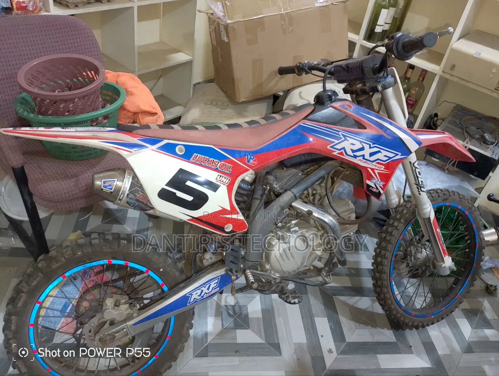 American Ironhorse Eagle 2023 White