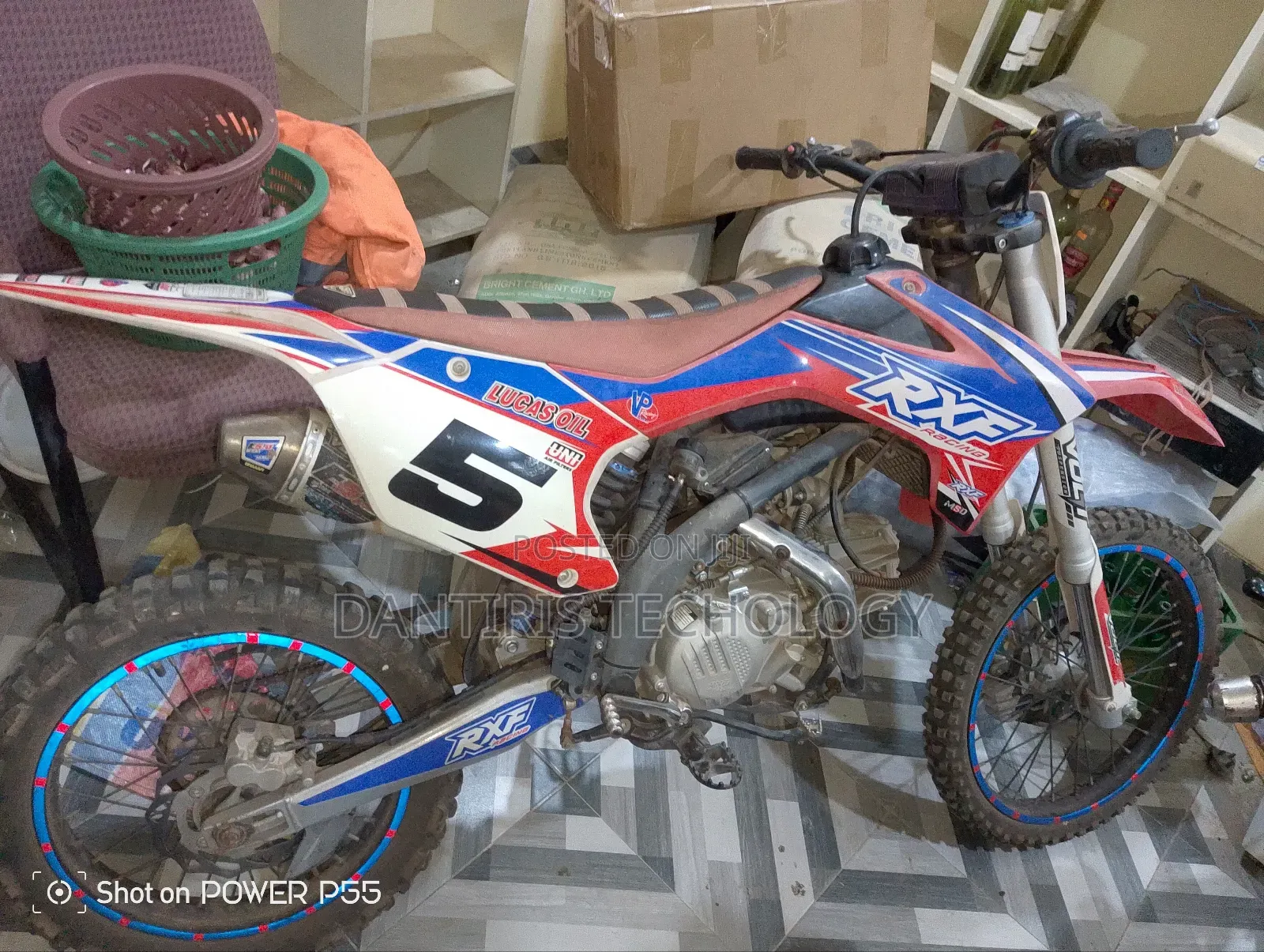 American Ironhorse Eagle 2023 White