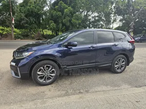 Car Rentals