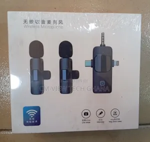 3 In 1 Wireless Microphone