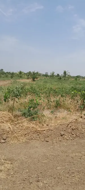 Your Land Plug With Special Plots Registered for You